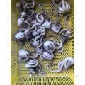 Octopus langes Bein 20-50g